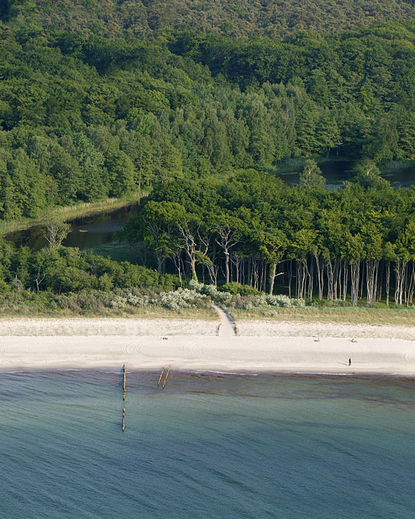 Fischland Darrs Zingst von oben