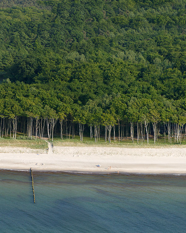 Fischland Darrs Zingst von oben