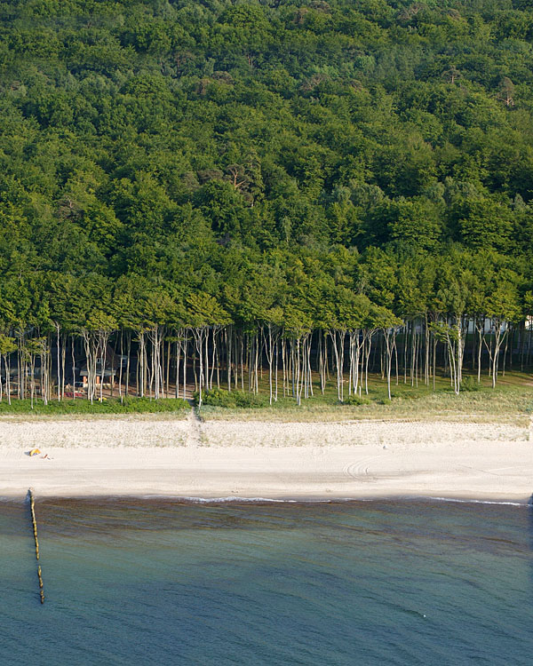 Fischland Darrs Zingst von oben