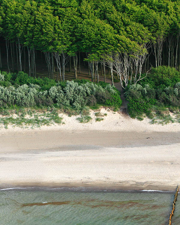 Fischland Darrs Zingst von oben